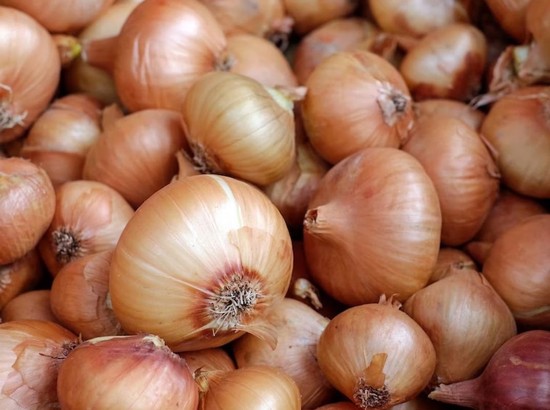 лук