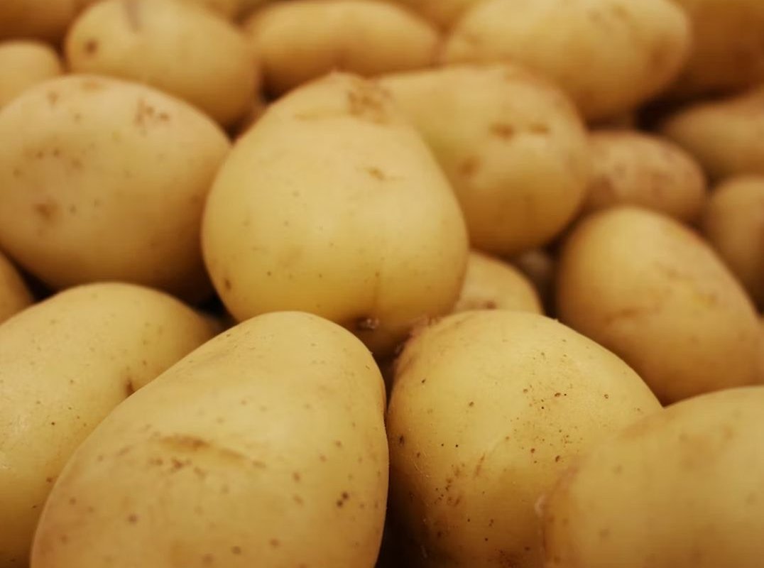 картофель